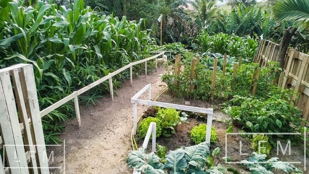 Sítio à venda com 3 quartos, 8000m² - Foto 8