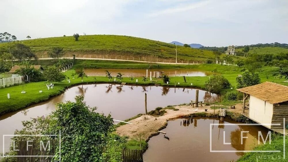Sítio à venda com 3 quartos, 8000m² - Foto 6