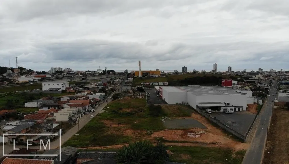 Terreno, 6000 m² - Foto 10