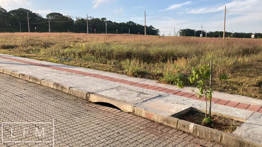 Terreno, 300 m² - Foto 3