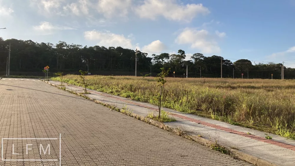 Terreno, 300 m² - Foto 2