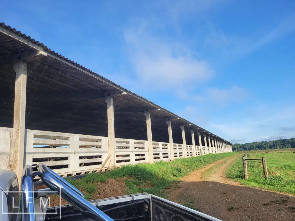 Fazenda, 80 hectares - Foto 8