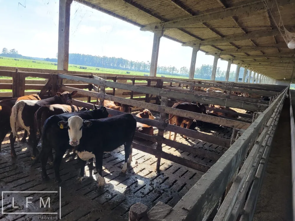 Fazenda, 80 hectares - Foto 6