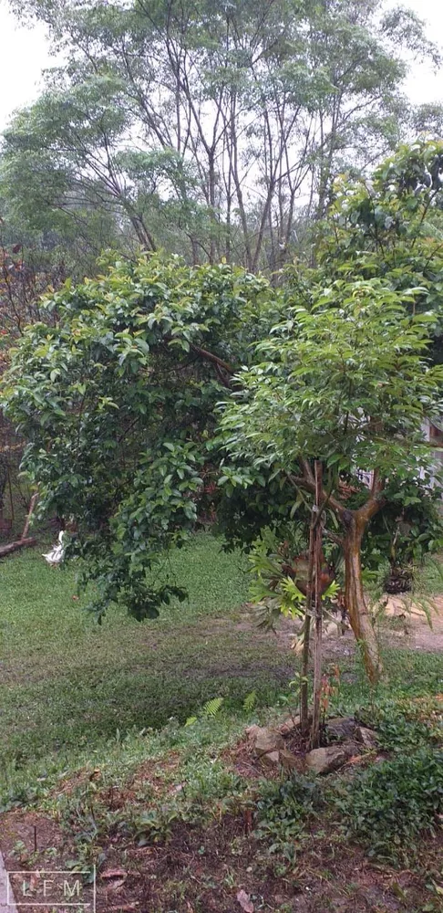 Sítio, 2 quartos, 5 hectares - Foto 10