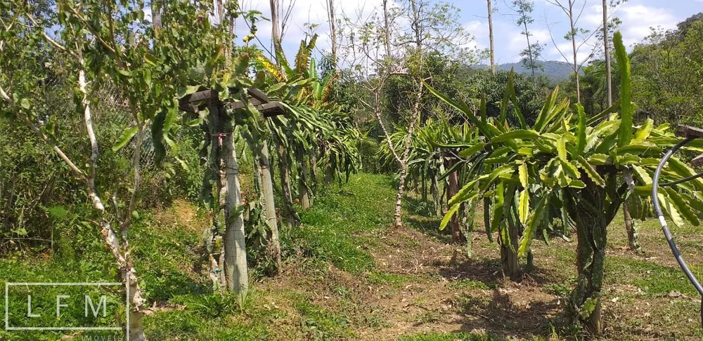 Sítio, 2 quartos, 5 hectares - Foto 9