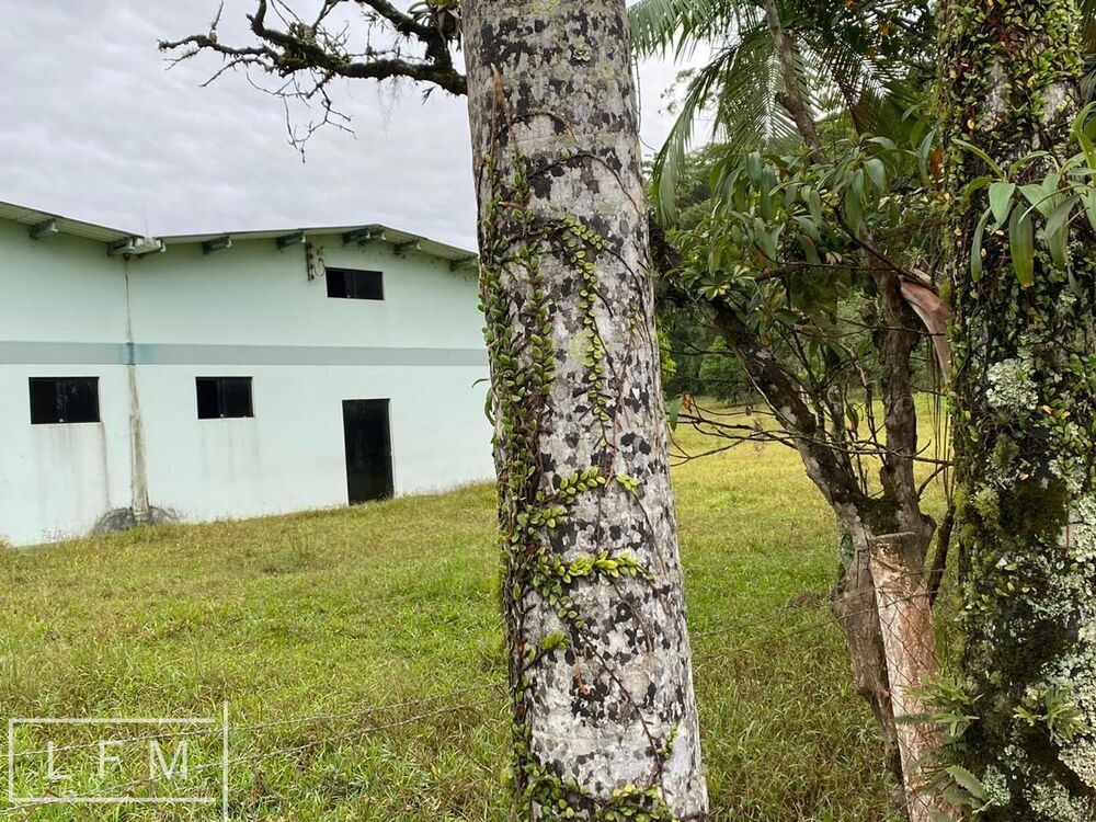 Terreno, 1 hectares - Foto 7