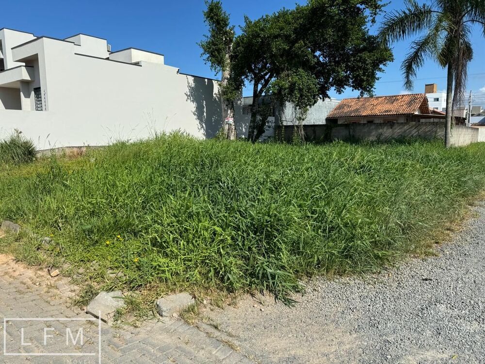 Terreno, 250 m² - Foto 3