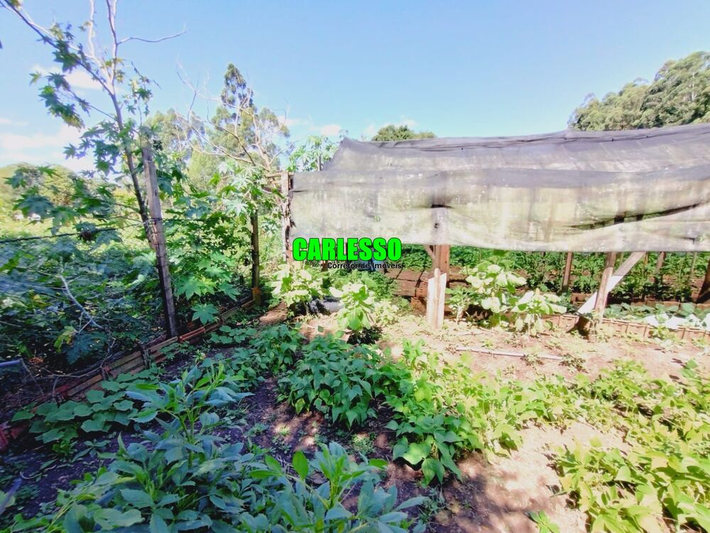 Chácara, 2 quartos, 7 hectares - Foto 2