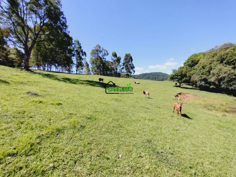 Chácara, 2 quartos, 7 hectares - Foto 20