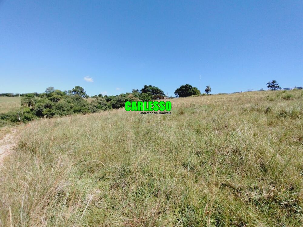 Terreno, 3 hectares - Foto 4