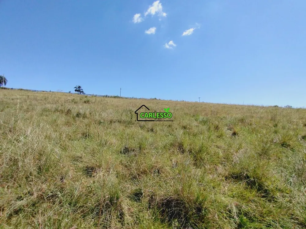 Terreno, 3 hectares - Foto 6