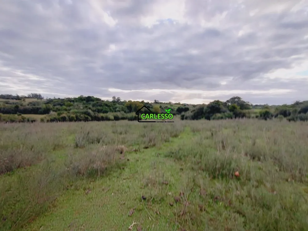 Terreno, 6 hectares - Foto 4