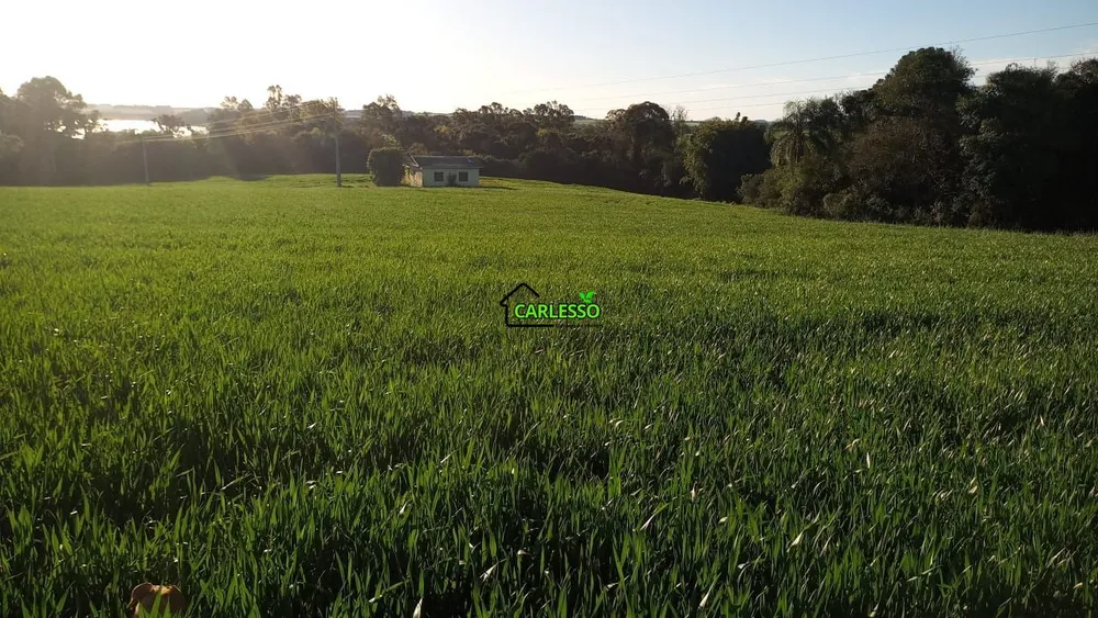 Fazenda, 11 hectares - Foto 23