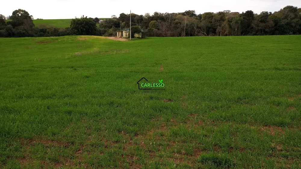 Fazenda, 11 hectares - Foto 10