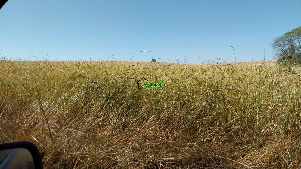 Fazenda, 11 hectares - Foto 9