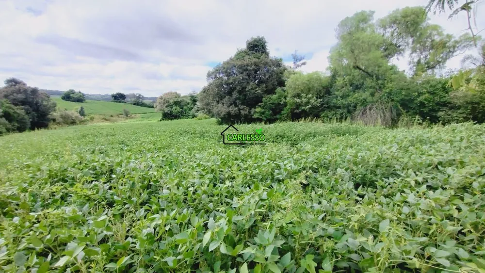 Chácara, 8 hectares - Foto 1