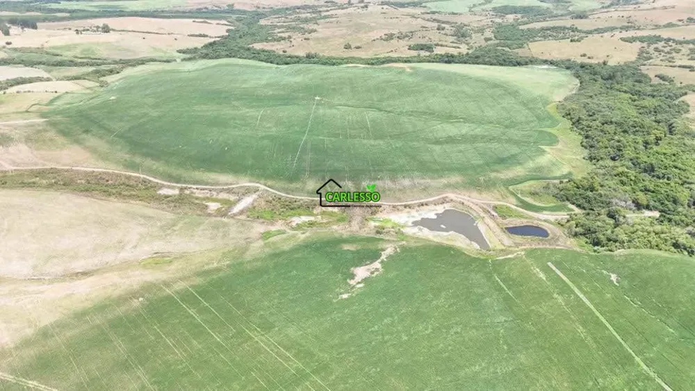 Fazenda, 312 hectares - Foto 2