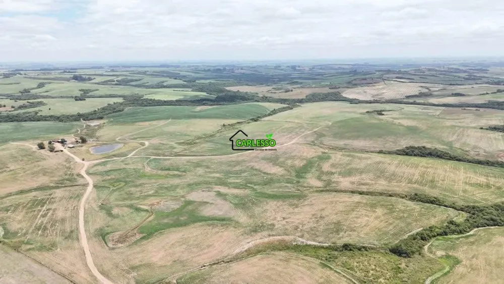 Fazenda, 312 hectares - Foto 9