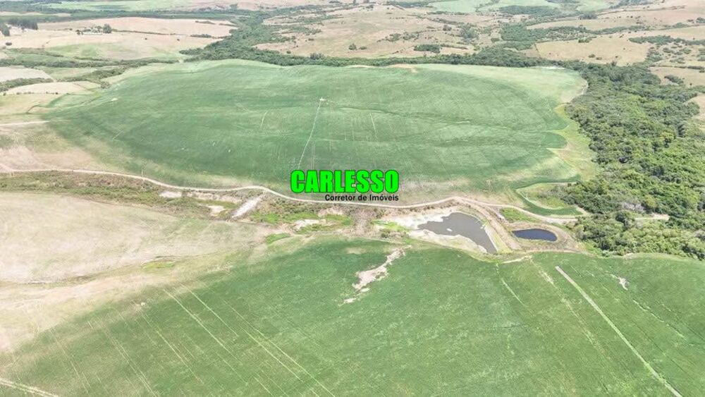 Fazenda à venda com 3 quartos, 120m² - Foto 4