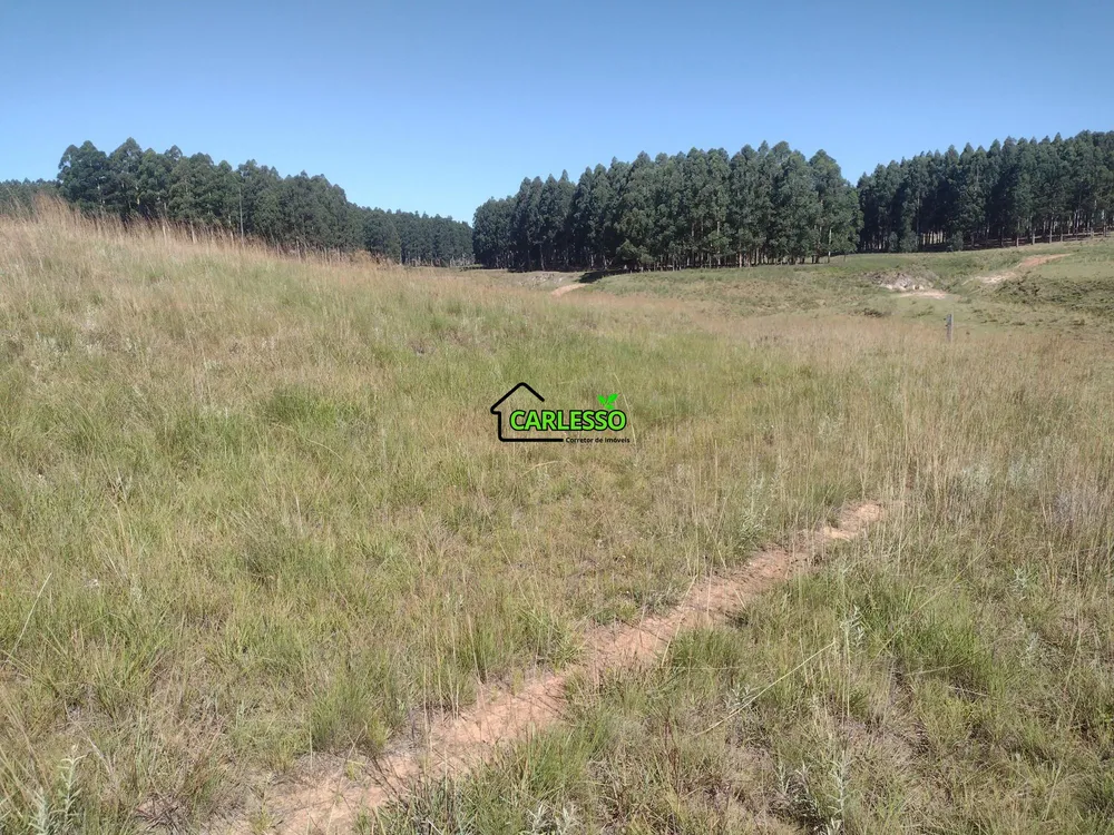 Sítio, 18 hectares - Foto 10