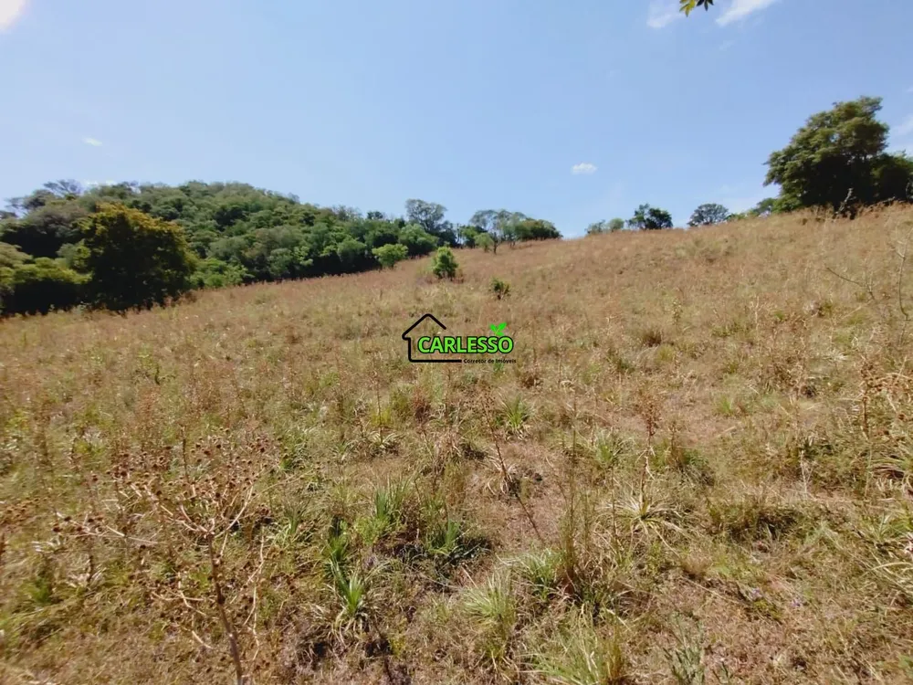 Sítio, 8 hectares - Foto 14