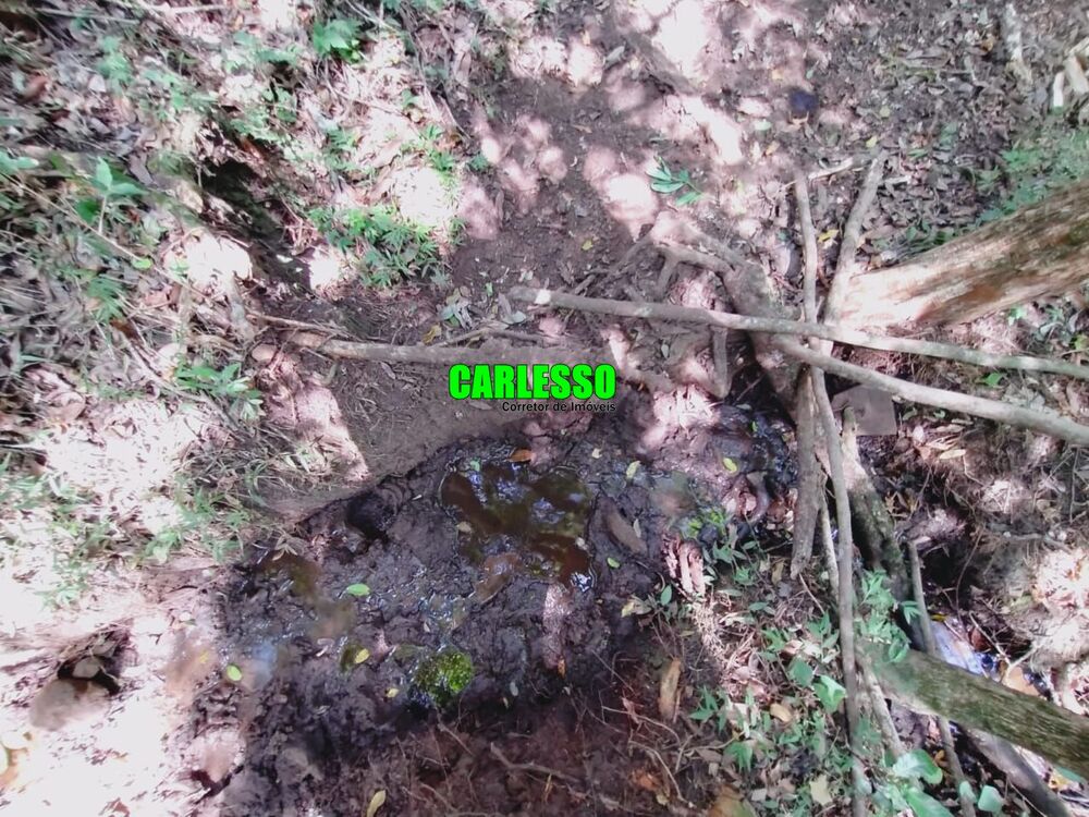 Fazenda, 8 hectares - Foto 4