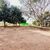 Chácara, 3 quartos, 2 hectares - Foto 4