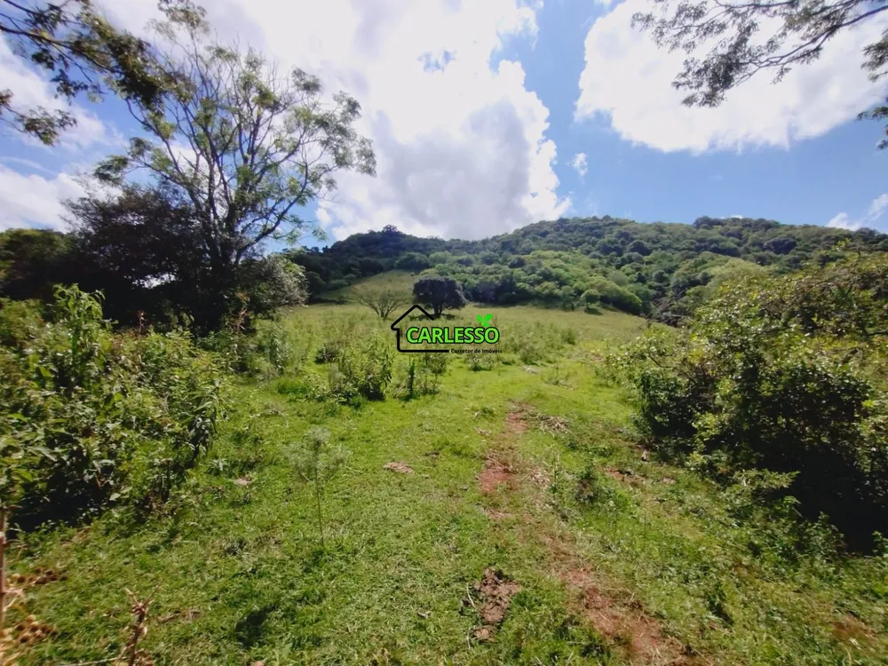 Sítio, 23 hectares - Foto 4