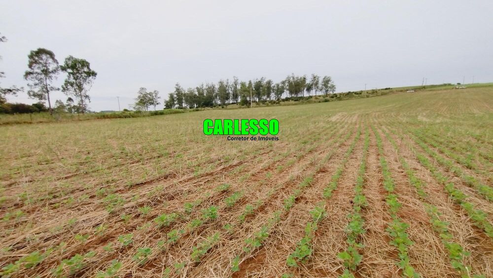 Chácara à venda, 150000m² - Foto 2