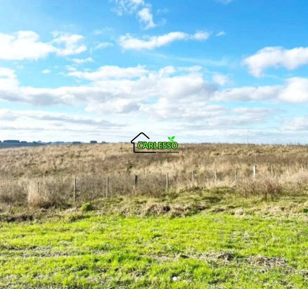 Fazenda, 156 hectares - Foto 8