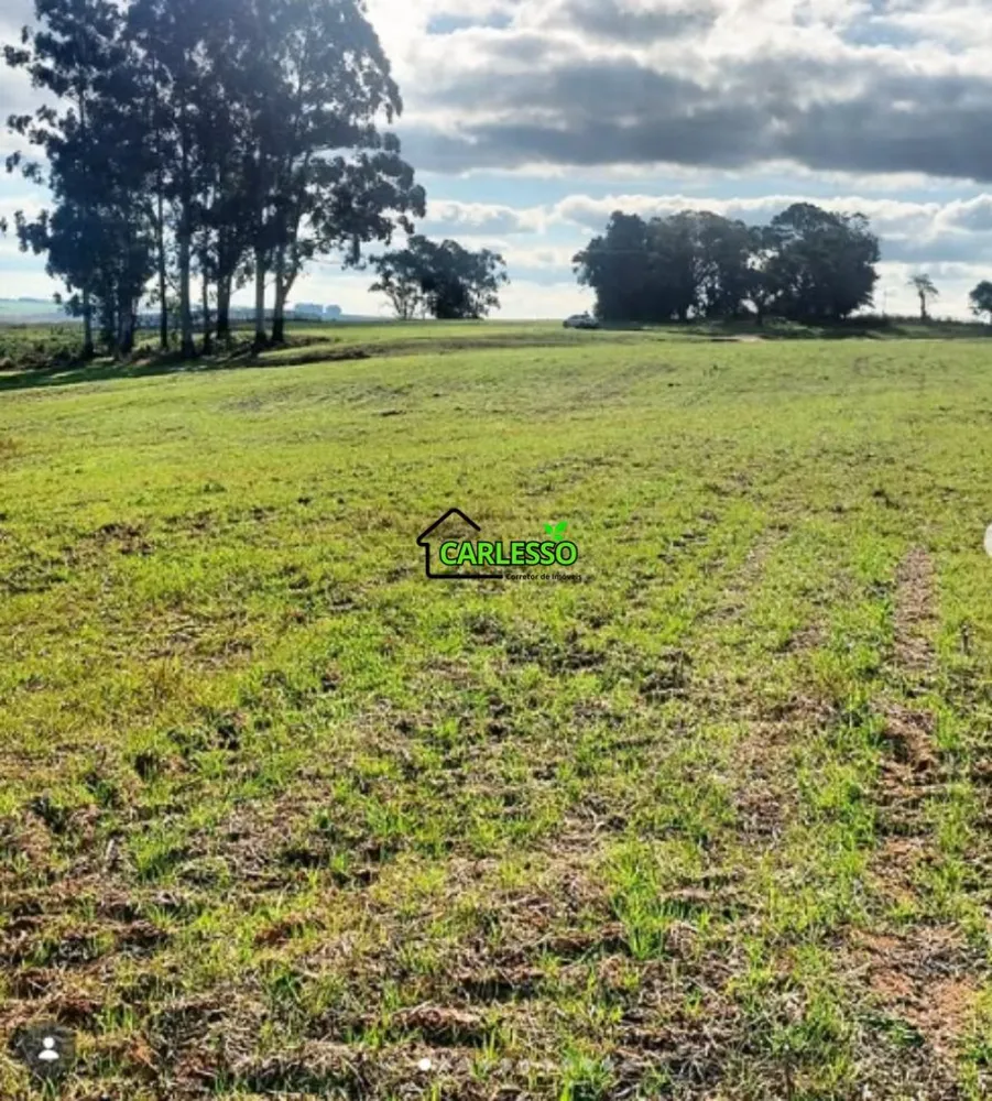 Fazenda, 156 hectares - Foto 1
