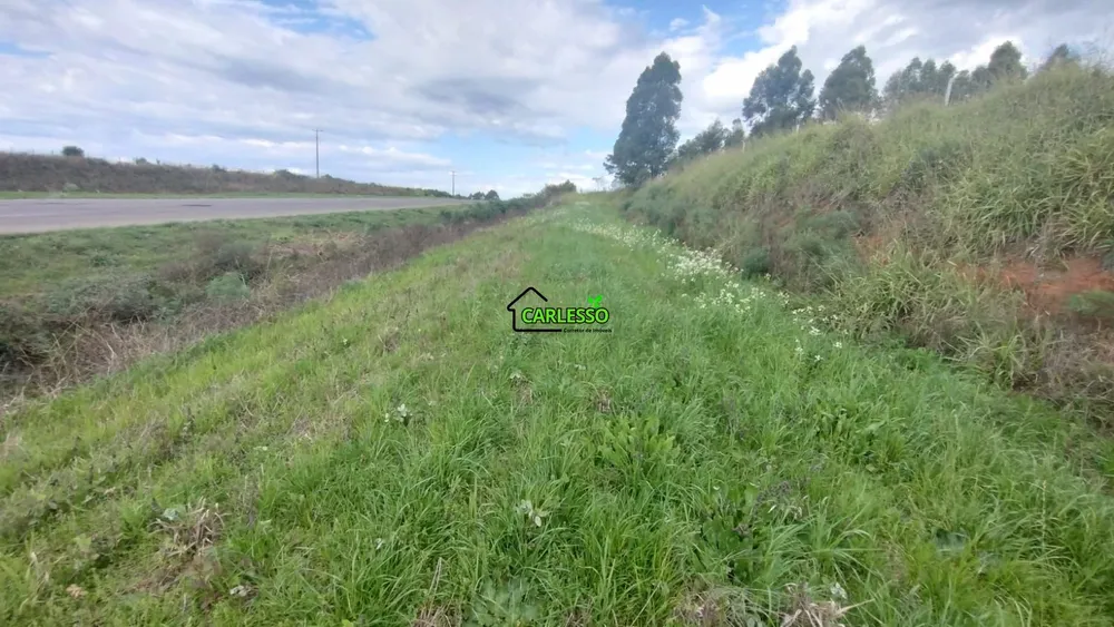 Fazenda, 18 hectares - Foto 9