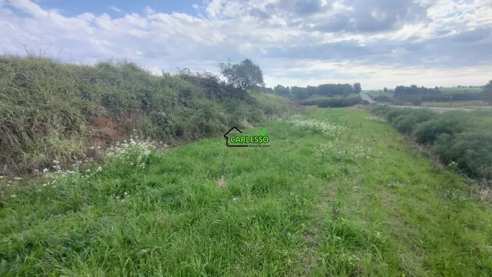 Fazenda, 18 hectares - Foto 8