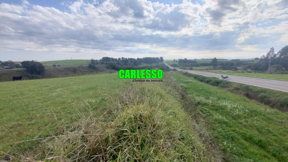 Fazenda, 15 hectares - Foto 2