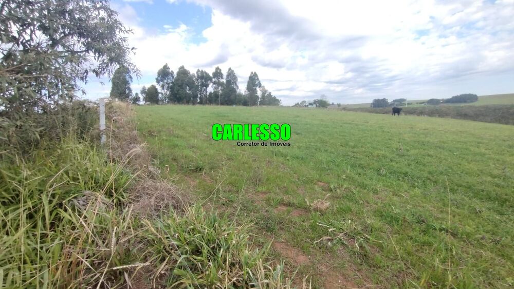 Fazenda, 15 hectares - Foto 4