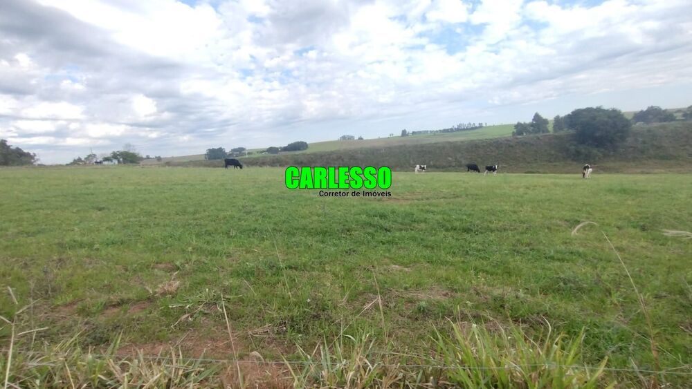 Fazenda, 15 hectares - Foto 1