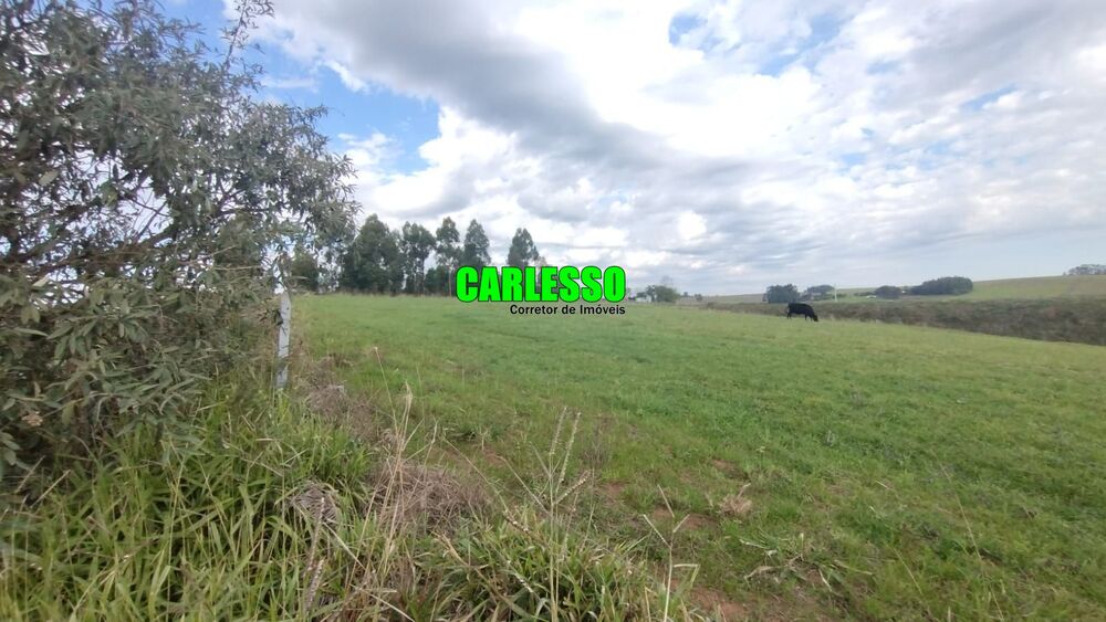 Fazenda, 15 hectares - Foto 3