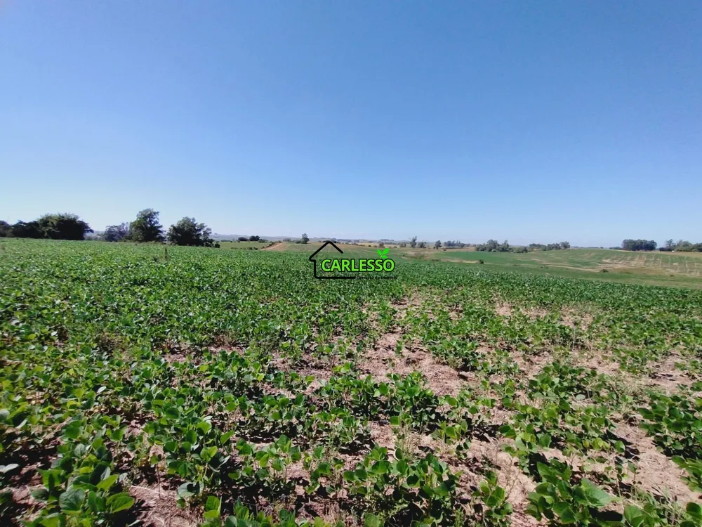 Sítio, 69 hectares - Foto 14