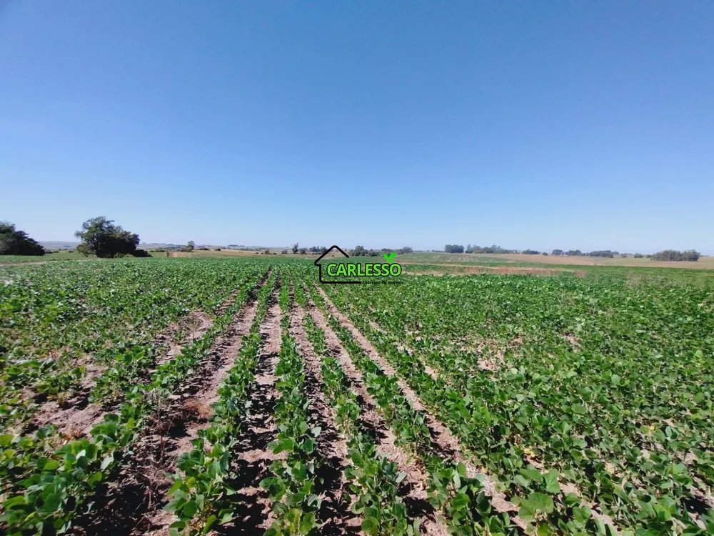 Sítio, 69 hectares - Foto 11