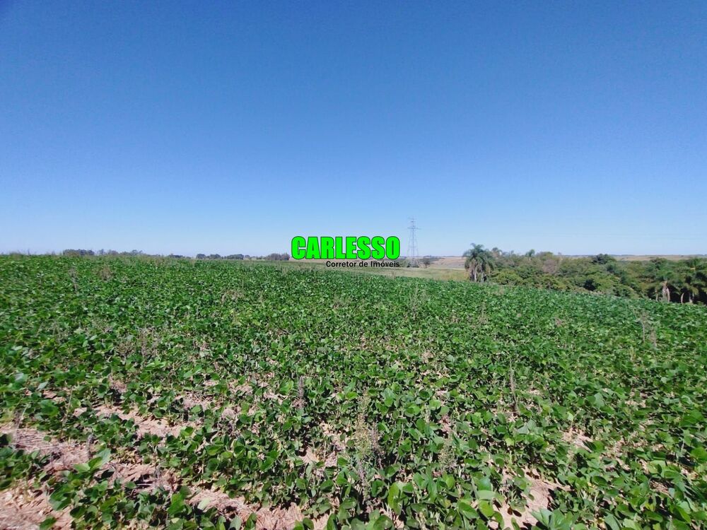 Fazenda, 138 hectares - Foto 3