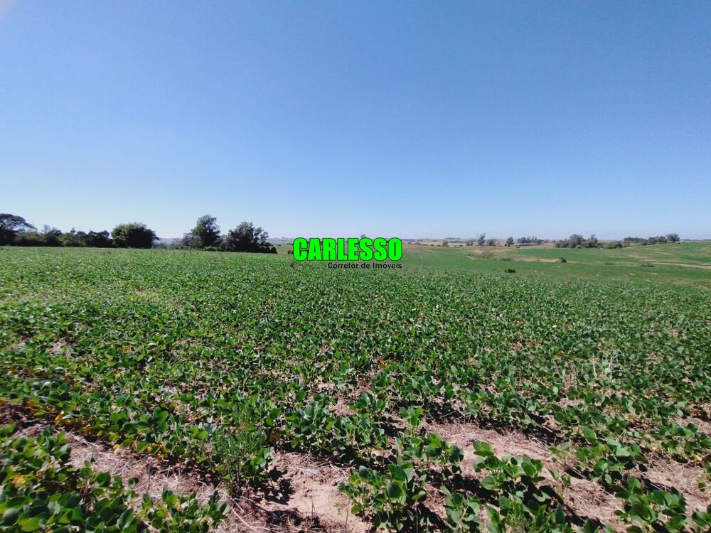 Fazenda, 138 hectares - Foto 1