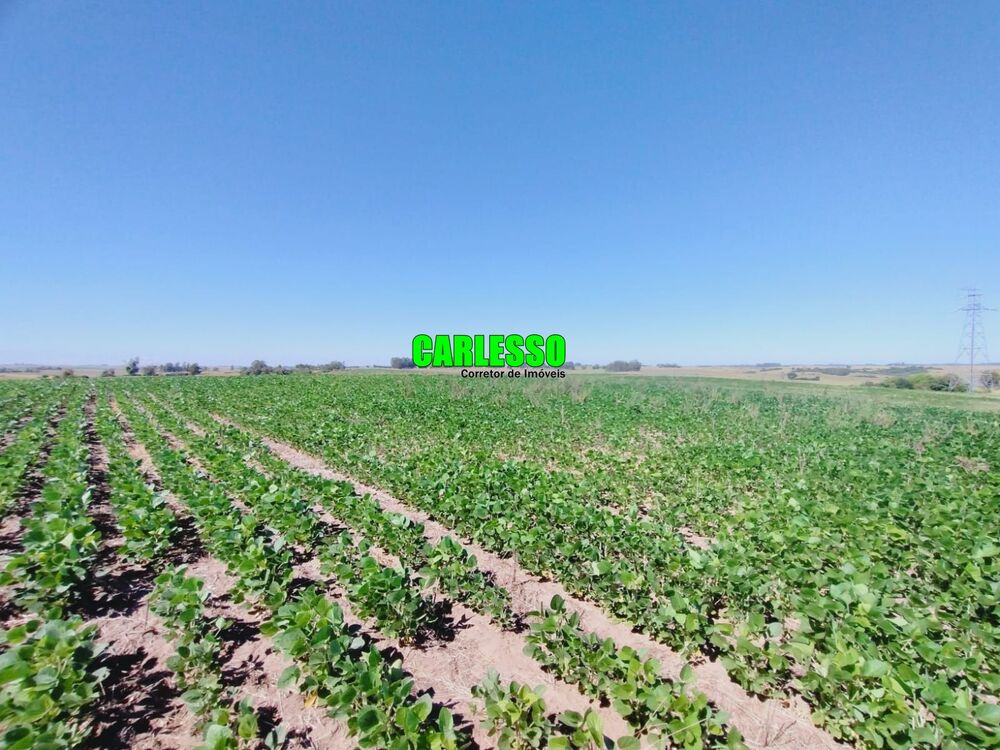 Fazenda, 138 hectares - Foto 4