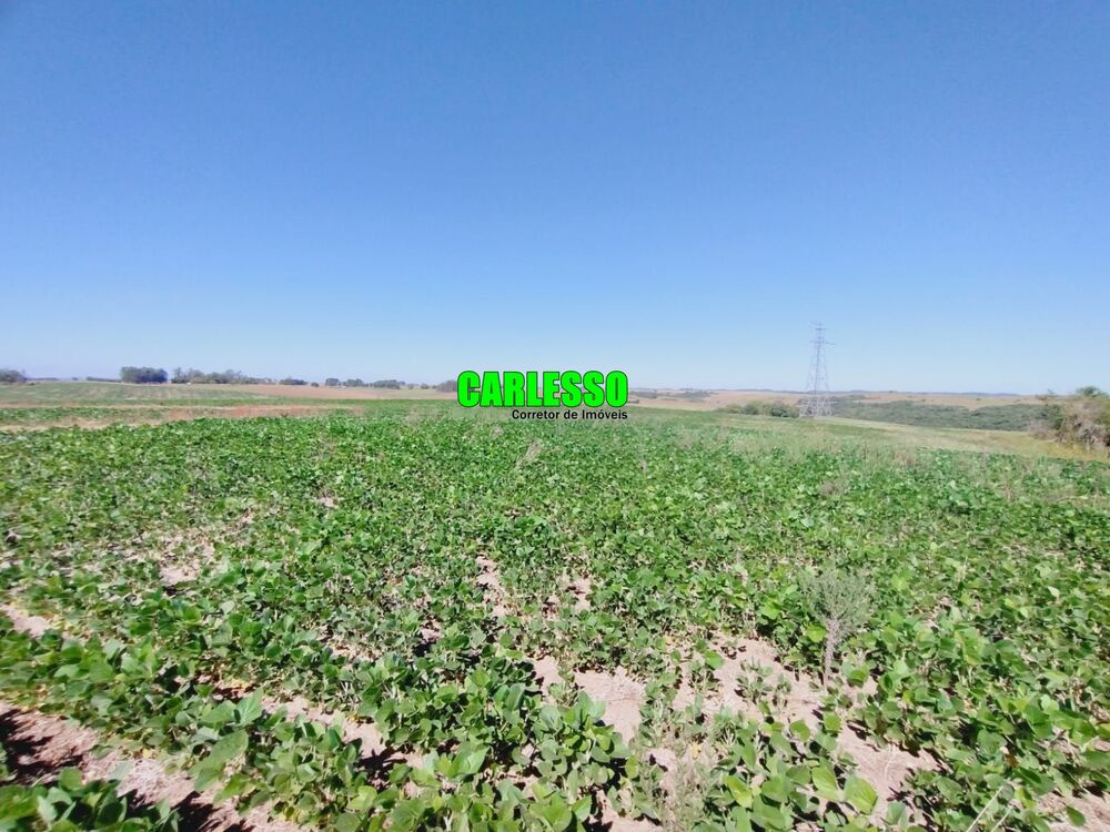 Fazenda, 138 hectares - Foto 2