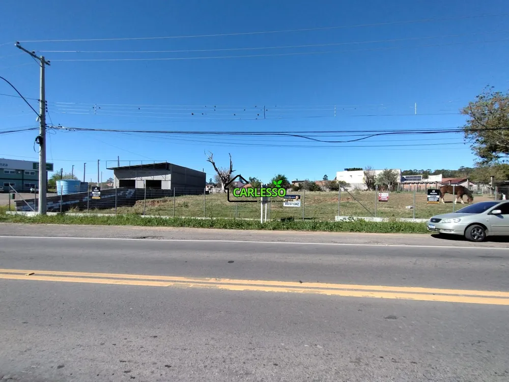 Terreno, 9200 m² - Foto 5
