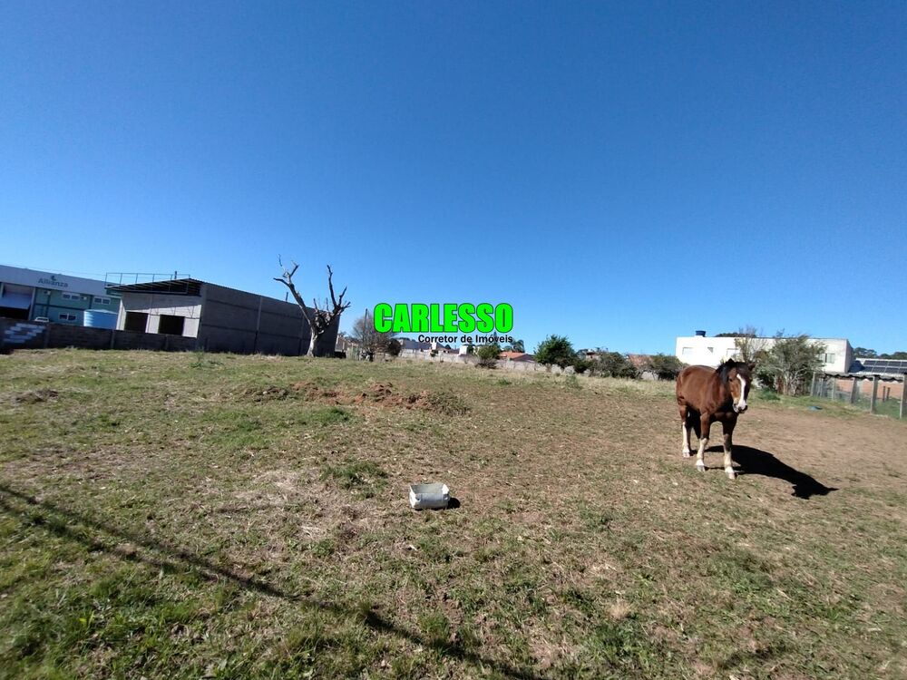 Terreno, 9200 m² - Foto 3