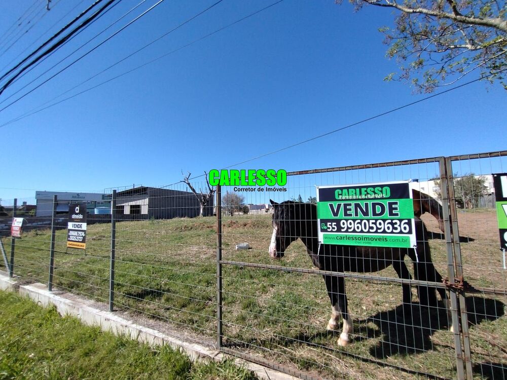 Terreno, 9200 m² - Foto 2