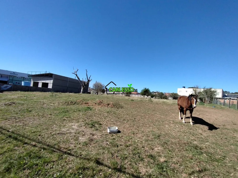 Terreno, 9200 m² - Foto 8