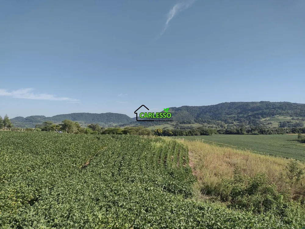 Fazenda, 9 hectares - Foto 8