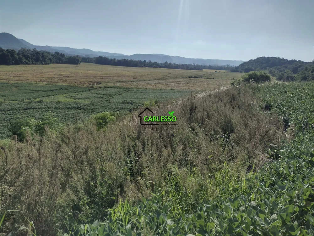Fazenda, 9 hectares - Foto 9