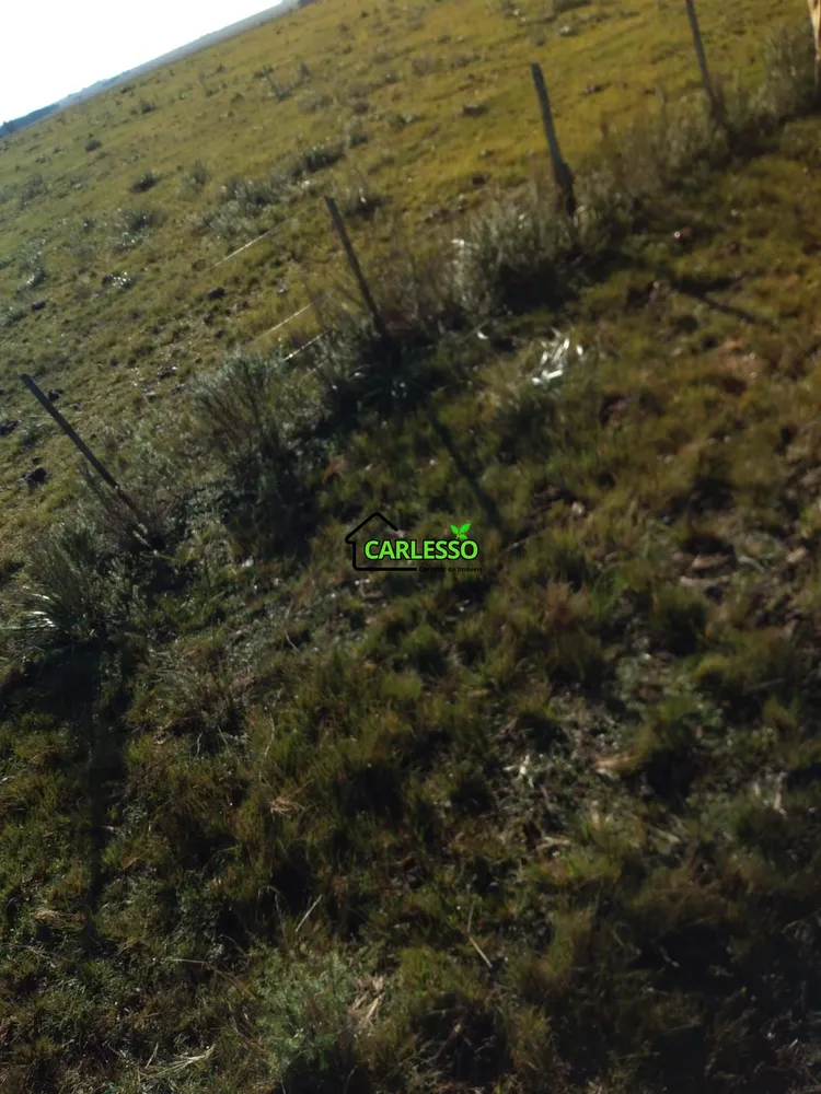 Fazenda, 65 hectares - Foto 7